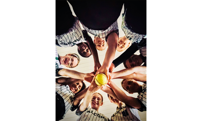 Falcons Softball 12U 2025
