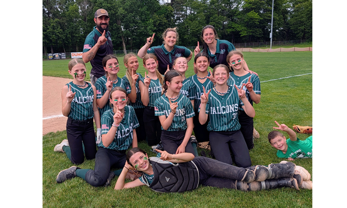 2026 District 2 12u South Champions!